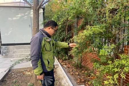 保洁周检分析举一反三怎么写