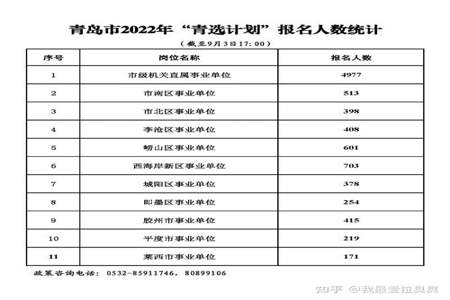 青选计划特长怎么写