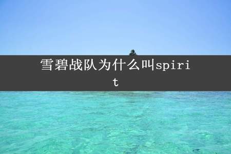 雪碧战队为什么叫spirit