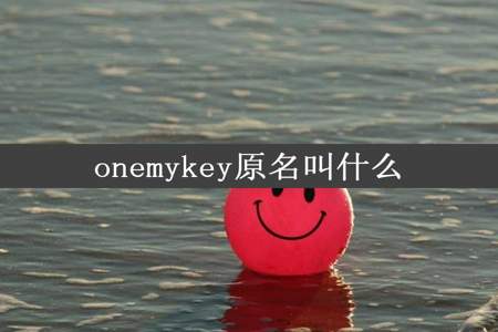 onemykey原名叫什么