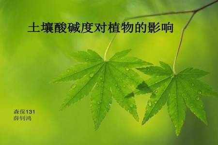 红糖灌根对植物的影响