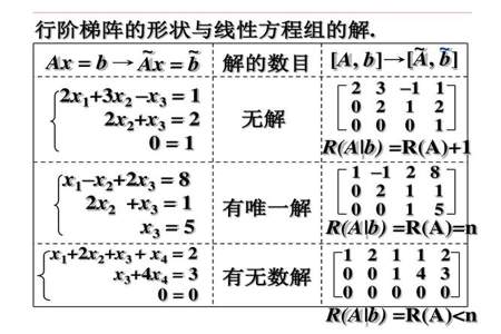 单位矩阵的秩是多少