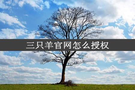 三只羊官网怎么授权