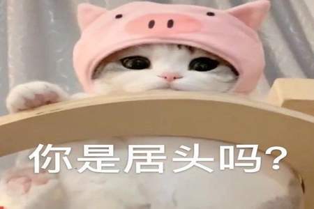 猪头，男生这样叫你是什么意思