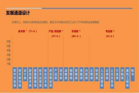 职位类别是什么意思