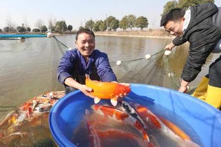 养鱼前景怎么样啊