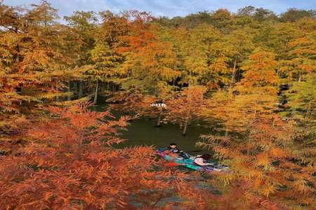 青山湖水上森林公园上午去还是下午去