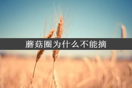 蘑菇圈为什么不能摘