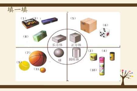 小学一年级数长方体的方法