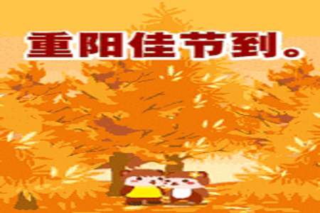 董卿九九重阳节祝福