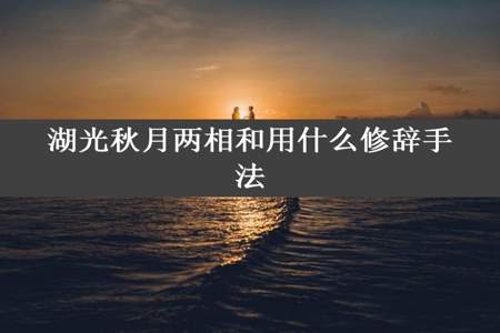 湖光秋月两相和用什么修辞手法