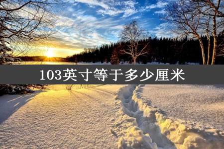 103英寸等于多少厘米