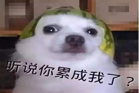 搬什么不什么