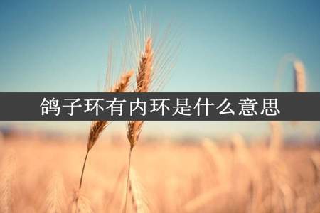 鸽子环有内环是什么意思