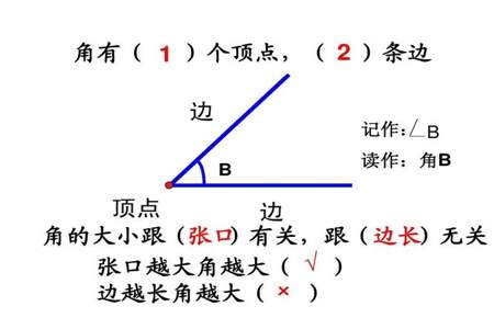 角的大小与什么有关，与什么无关