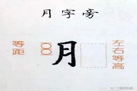 月旁组字是哪些