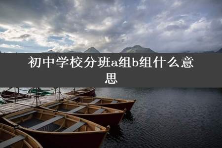 初中学校分班a组b组什么意思