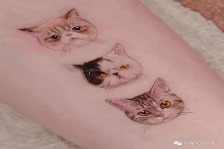 社会猫纹身怎么弄