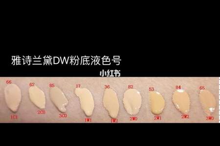 新版dw粉底液怎么选色号