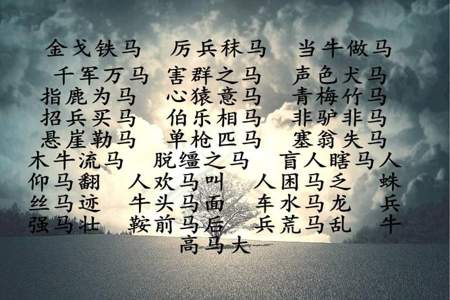 马字开头的字成语