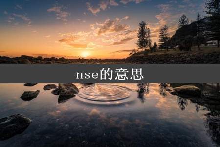 nse的意思