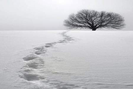 赠你 似冬雪与暖阳什么意思