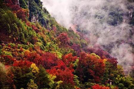 楠溪江红枫古道几月风景最好