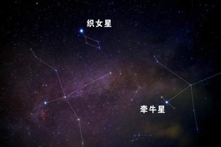 七夕限定星动是什么意思