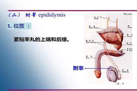 位臵是什么意思