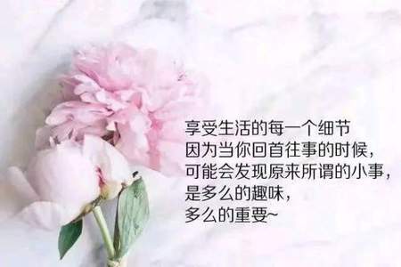 当你觉得事事不如意时该怎么办