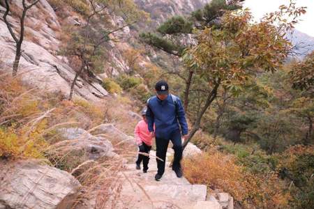 重阳节登山有什么含义