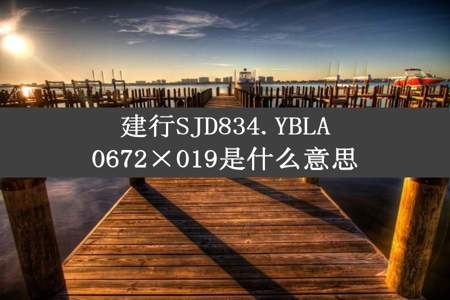 建行SJD834.YBLA0672×019是什么意思