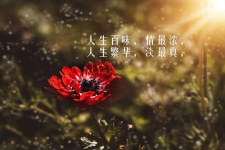 人生的花是什么意思