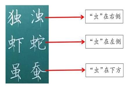 虫的第一笔是什么