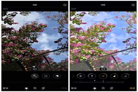 iphone11原相机滤镜怎么设置
