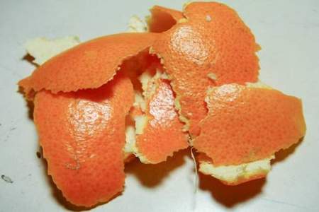 橘子皮的皮是什么意思