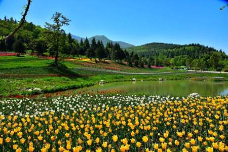 秦岭国家植物园有什么园