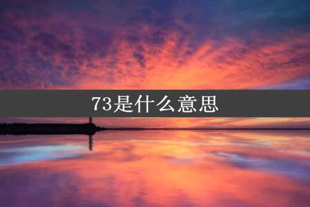 73是什么意思