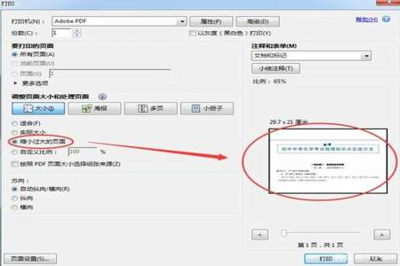 pdf太小怎么变大