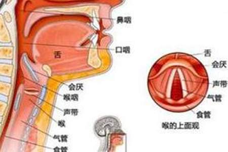 特殊化什么意思