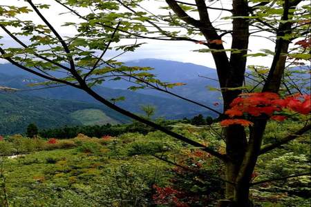 红枫岭怎么开车进景区