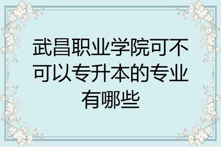 武昌职业学院大一新生报到带什么