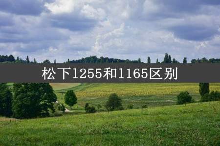 松下l255和l165区别