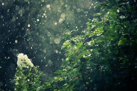 倾盆大雨的倾是什么意思