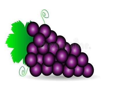 一个个紫色的葡萄像什么