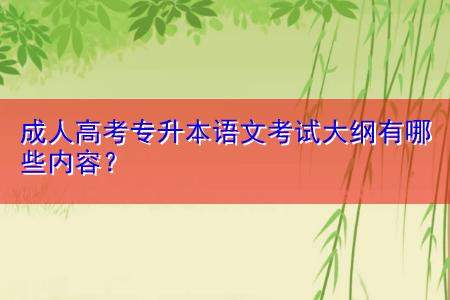 成人高考语文考什么内容