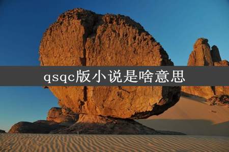 qsqc版小说是啥意思