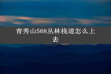 青秀山568丛林栈道怎么上去