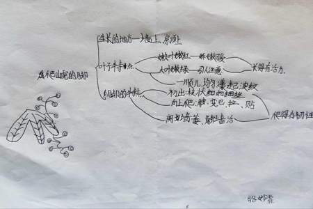 爬山虎的脚第四自然段围绕哪句话