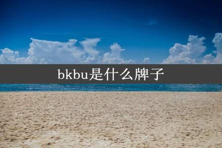 bkbu是什么牌子